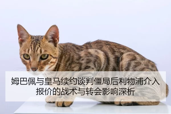 mu-ba-pei-yu-huang-ma-xu-yue-tan-pan-jiang-ju-hou-li-wu-pu-jie-ru-bao-jia-de-zhan-shu-yu-zhuan-hui-ying-xiang-shen-xi-2-547.jpg